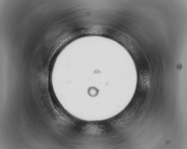 X0000101170534200806271036