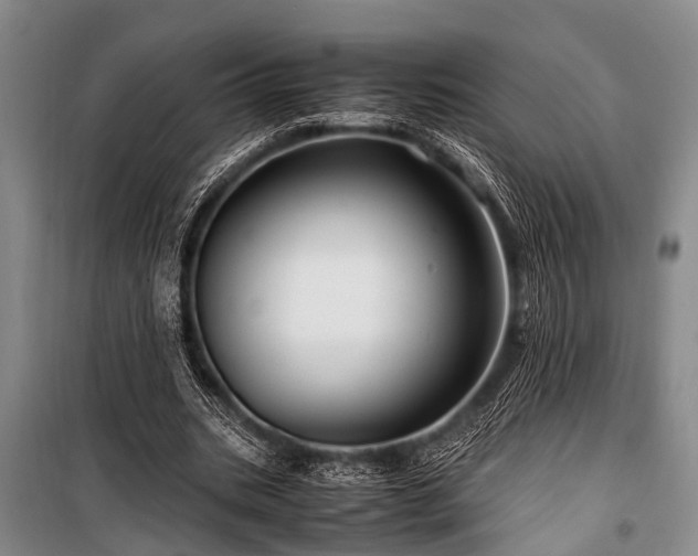 X0000101170535200806271036