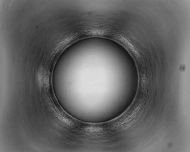 X0000101170537200806271036