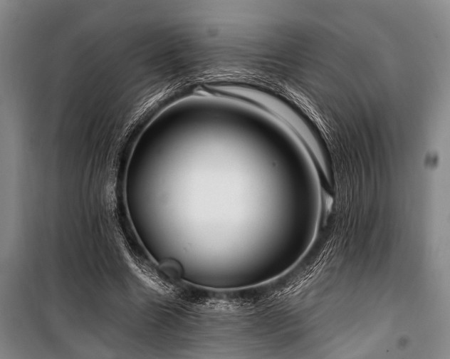 X0000101170538200806271037
