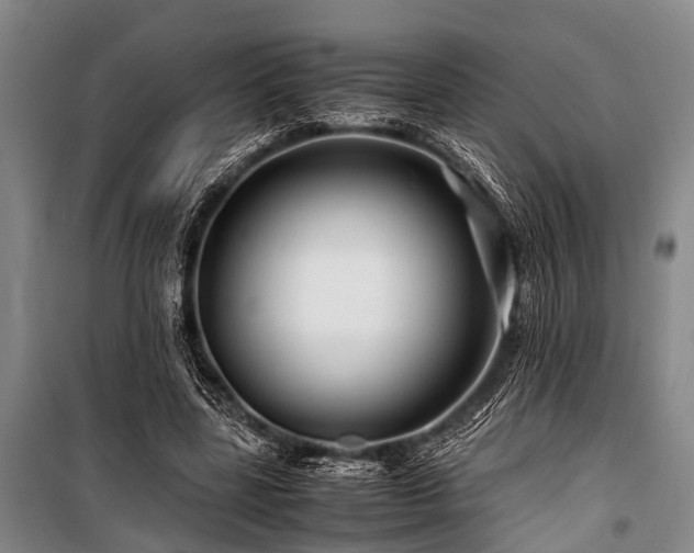 X0000101170539200806271037