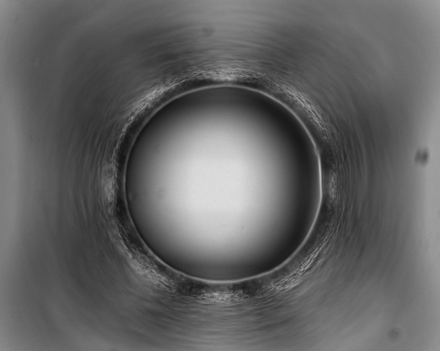 X0000101170540200806271037