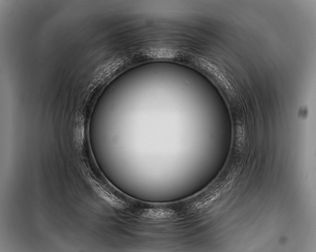 X0000101170541200806271037