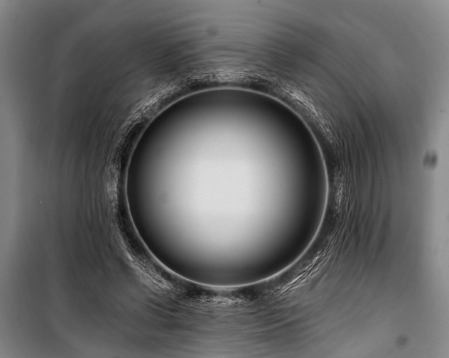 X0000101170542200806271037