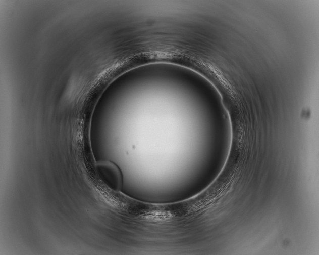 X0000101170543200806271037