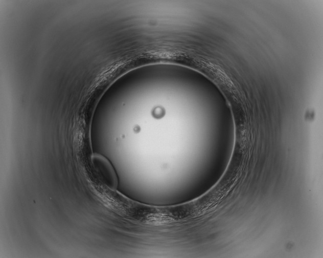 X0000101170544200806271037