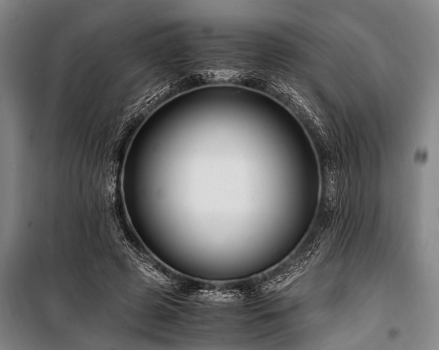 X0000101170545200806271037