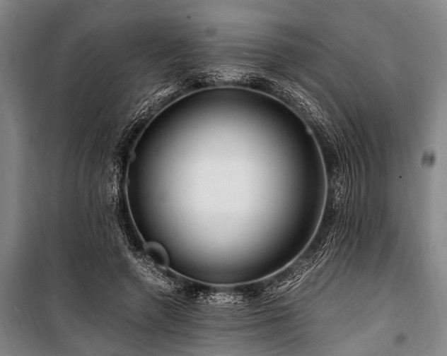 X0000101170546200806271037