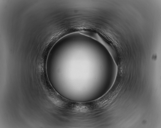X0000101170547200806271037
