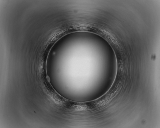 X0000101170548200806271037