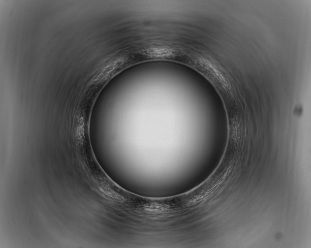 X0000101170549200806271037