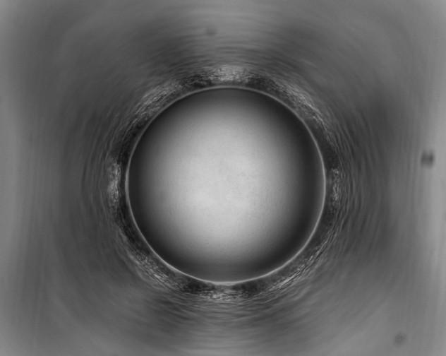X0000101170550200806271037