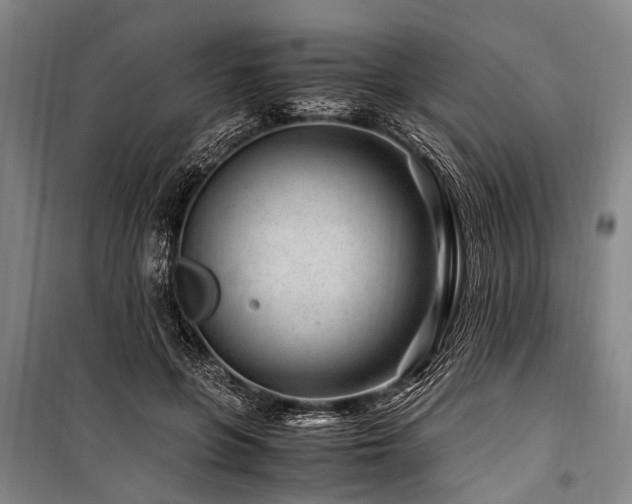 X0000101170551200806271037