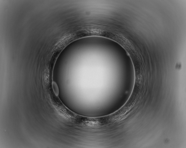 X0000101170552200806271037