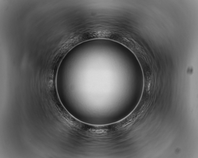 X0000101170553200806271037