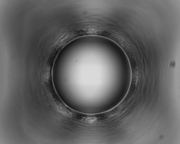 X0000101170554200806271037