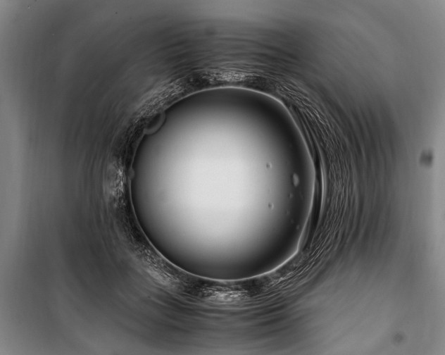 X0000101170555200806271037