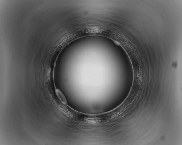 X0000101170556200806271037