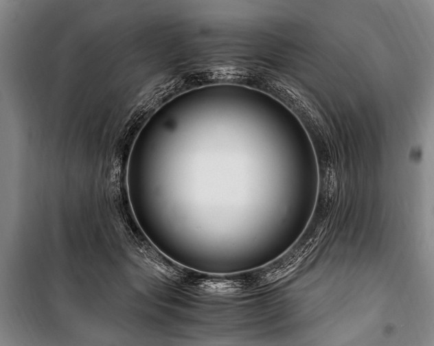 X0000101170557200806271037
