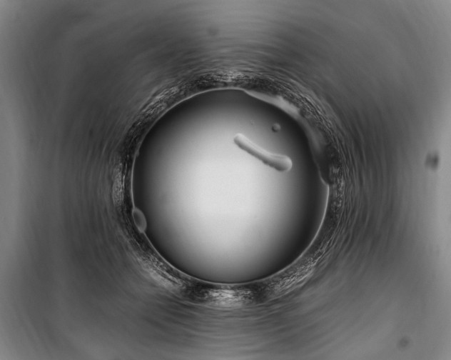 X0000101170558200806271037