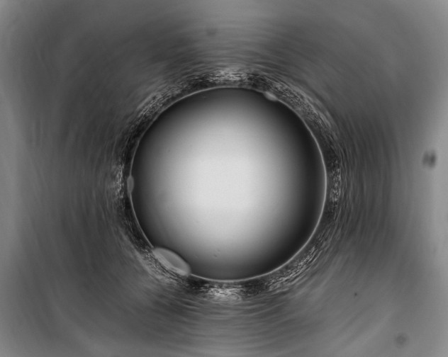 X0000101170560200806271037