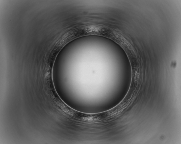 X0000101170561200806271037