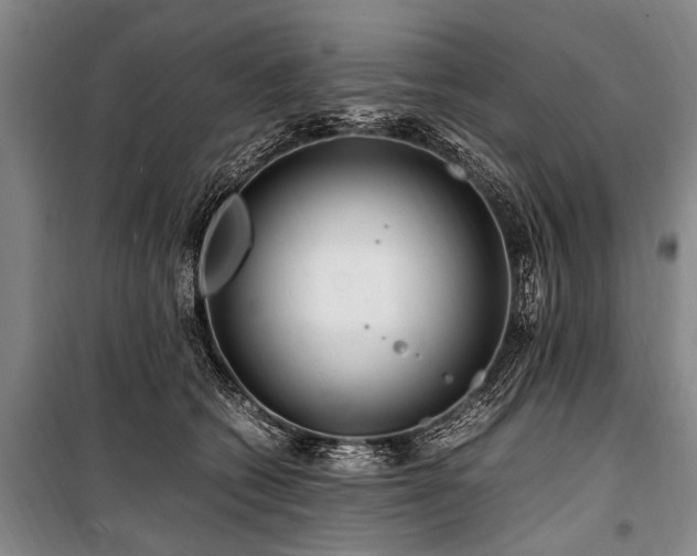 X0000101170562200806271037