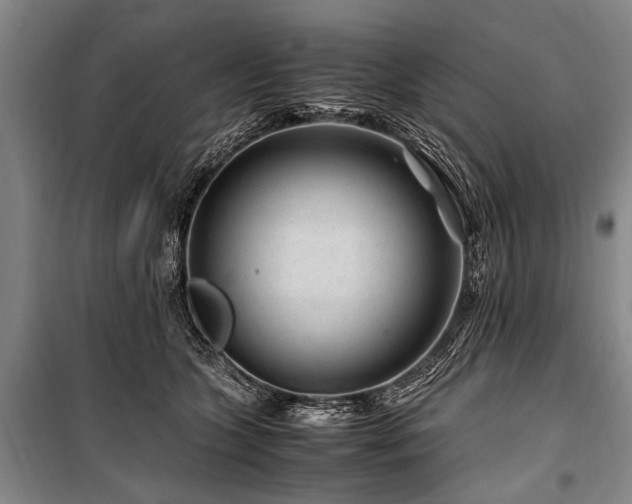 X0000101170563200806271037