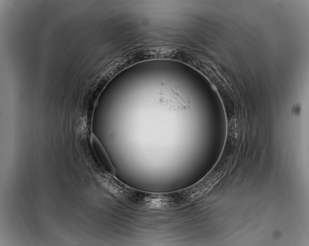 X0000101170564200806271037