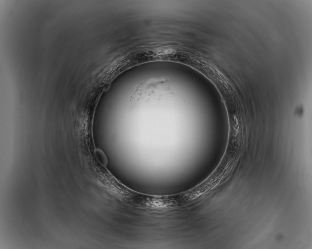 X0000101170565200806271037