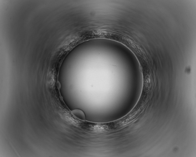 X0000101170566200806271037