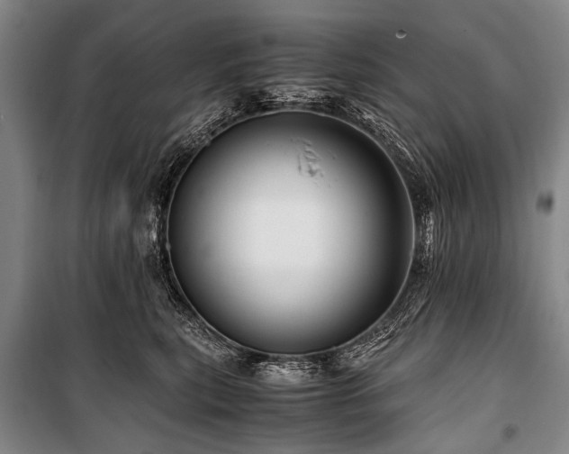 X0000101170567200806271037