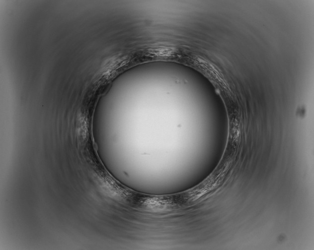 X0000101170568200806271037