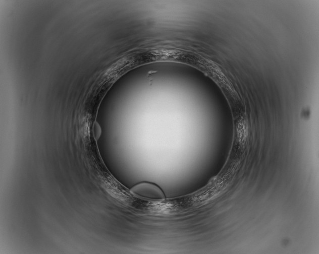 X0000101170570200806271037