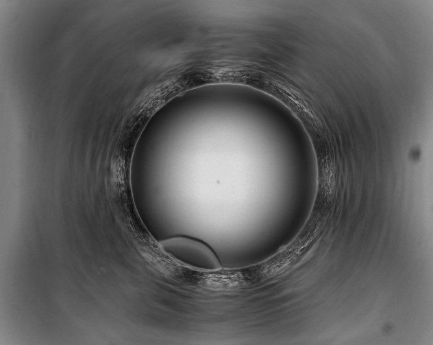 X0000101170571200806271037