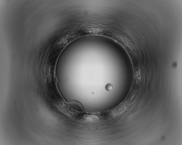 X0000101170572200806271037