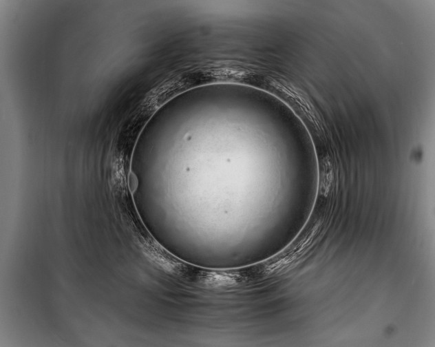 X0000101170573200806271037