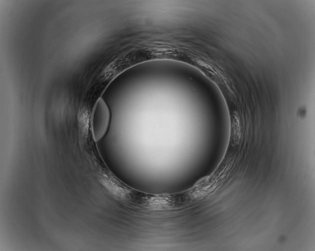 X0000101170574200806271037