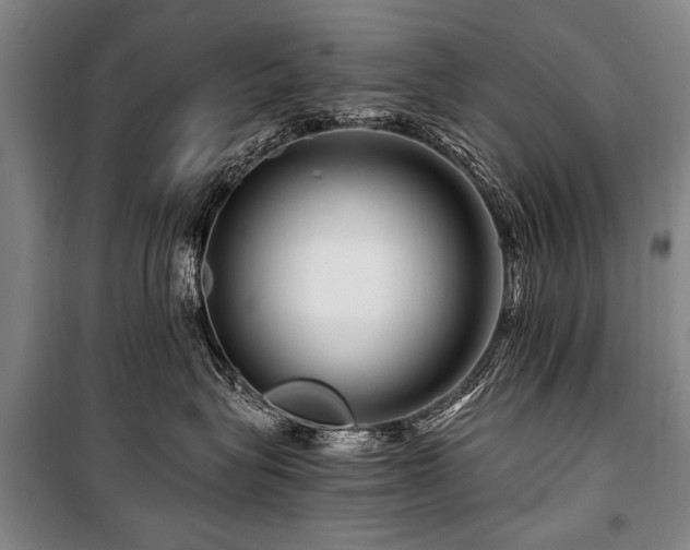 X0000101170575200806271037