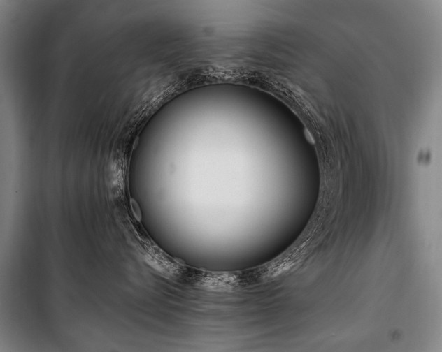 X0000101170576200806271037