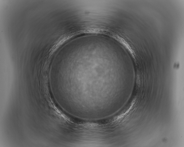 X0000101170577200806271036