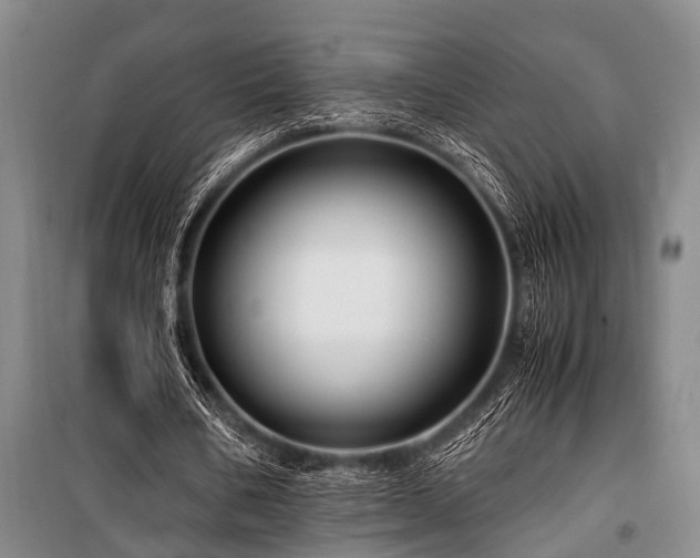 X0000101170578200806271036
