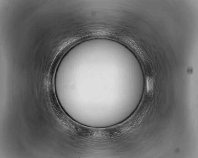 X0000101170579200806271036