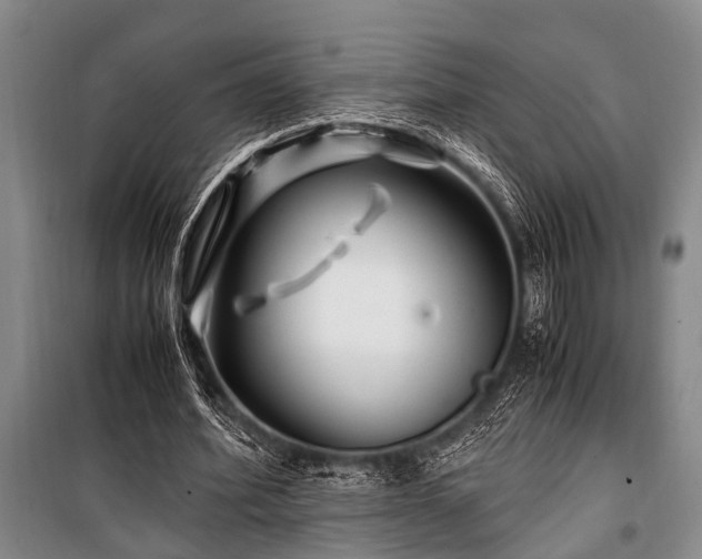 X0000101170580200806271036