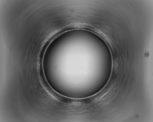 X0000101170581200806271036