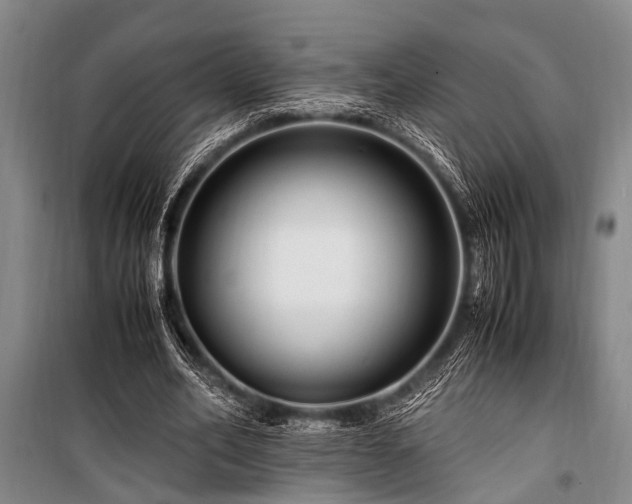 X0000101170582200806271036
