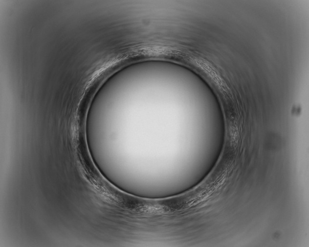 X0000101170583200806271036