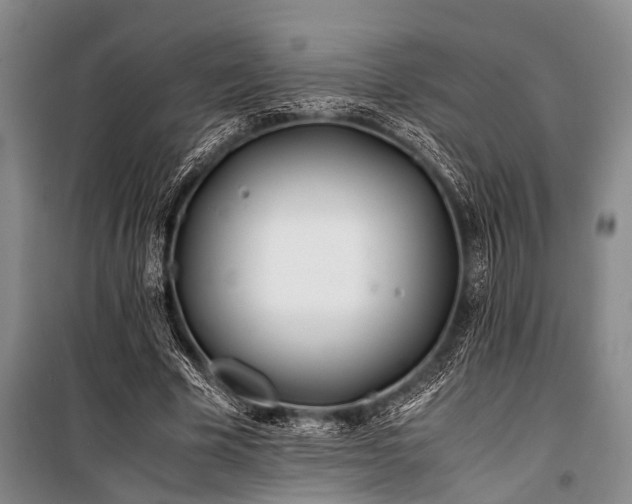 X0000101170585200806271036