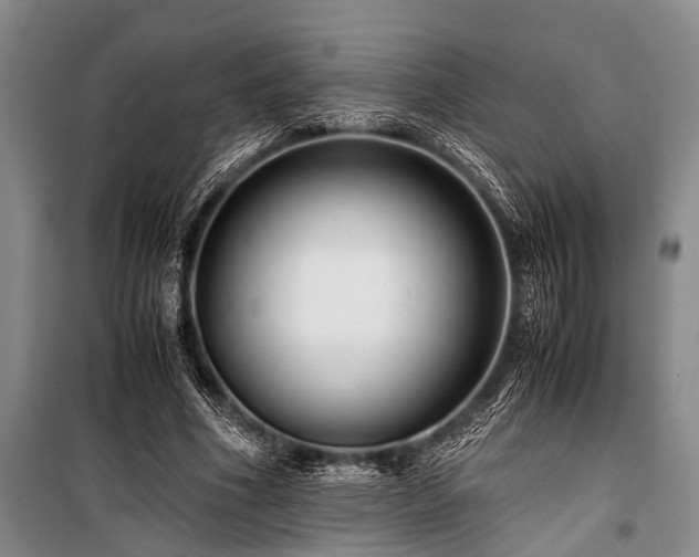 X0000101170586200806271036