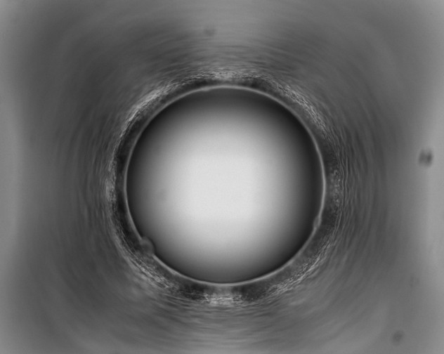 X0000101170587200806271036